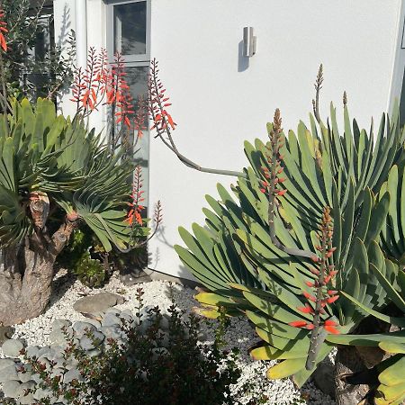 Stunning Park Side Holiday Home Christchurch Zewnętrze zdjęcie